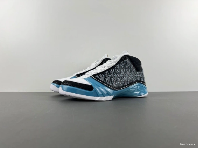 Kick Theory 23 Jordan UNC 318376-041 0812